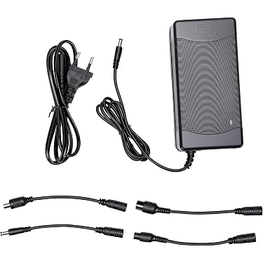 Amazon.co.jp 最新リリース: バイク用バッテリー充電器 の新着
